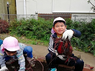 いもほり🍠えんそくごっこ2024🍠～はなまる畑でいもほり編～