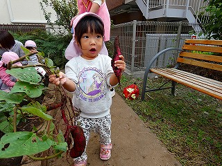 いもほり🍠2025☆